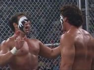 Sting confronting the